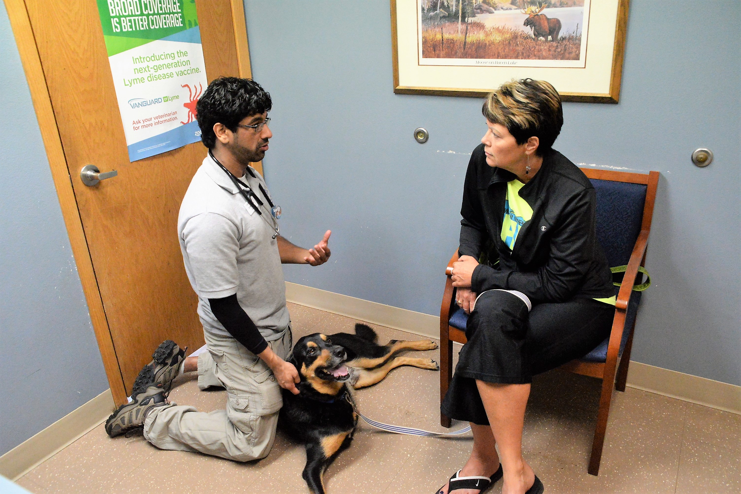 Patient comfort is a priority and our doctors and staff do everything we can to make your pet feel comfortable while we perform our exam and discuss our findings with you. 